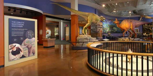 San Diego Natural History Museum Night Entry - Image 6
