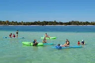 Marathon Sandbar Cruise & Sightseeing Adventure thumbnail 5