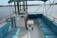 Hilton Head Private Dolphin Tour thumbnail 4