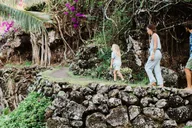 Kauai Allerton Garden and Estate Tour with Sunset Dinner thumbnail 5