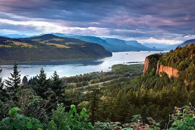 Portland Waterfalls and Wine Tour - Image 3