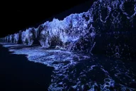 Las Vegas ARTE Museum Immersive Art Experience thumbnail 5