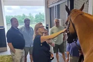 Lexington Thoroughbred Horse Farm Tour thumbnail 5