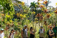 Maui Rainforest Waterfall Hiking Adventure thumbnail 3