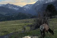 Rocky Mountain Bear Lake Corridor Tour thumbnail 3