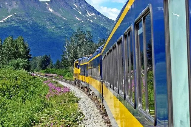 Denali to Anchorage Railroad Journey - Image 6
