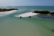 St. Pete Dolphin Watching and Shelling Tour thumbnail 1