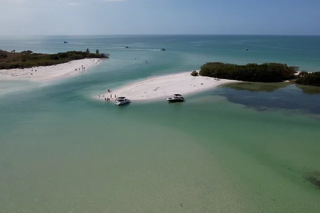 St. Pete Dolphin Watching and Shelling Tour - Image 1
