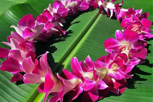 Maui Airport Private Transfer - Image 6