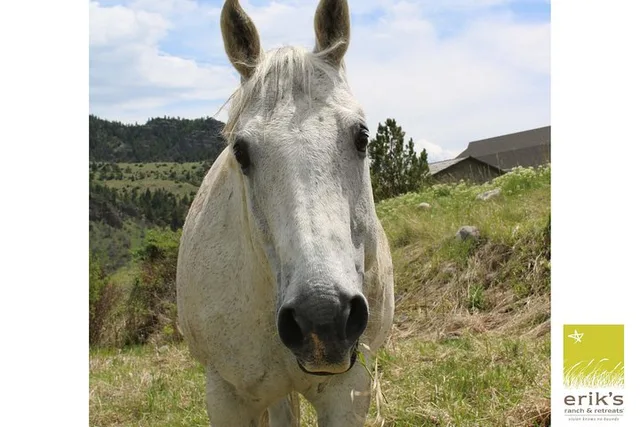 Erik's Ranch Horseback Riding Experience - Image 2