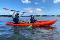 Saint Augustine Dolphin & Sea Turtle Kayak Tour 2 hr thumbnail 4