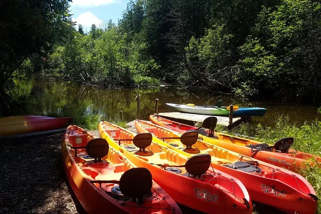 Jacksonport Wetlands Kayak Tour - Image 5