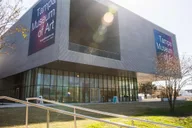 Tampa Museum of Art Admission Ticket thumbnail 6