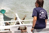 Hilton Head Shrimp Trawling Boat Tour thumbnail 2
