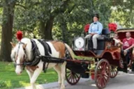 New York City Central Park Horse Carriage Ride 45 Min thumbnail 5