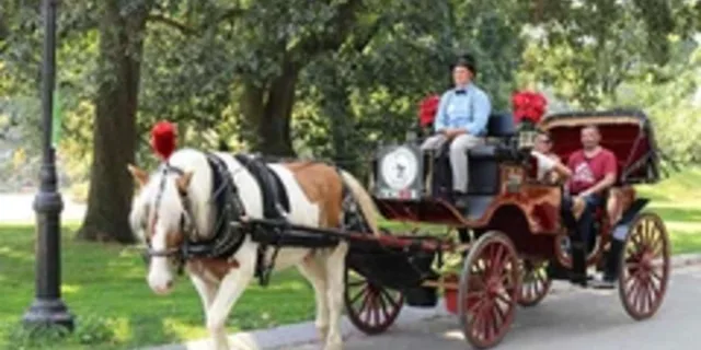 New York City Central Park Horse Carriage Ride 45 Min - Image 5