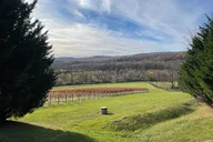 Virginia Winery Excursion by Luxury Vehicle thumbnail 4