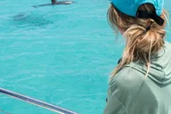 Key West Dolphin Watching and Guided Snorkeling thumbnail 5