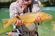 Wyoming Fly Fishing Half-Day thumbnail 1