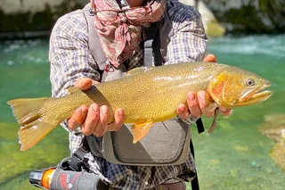 Wyoming Fly Fishing Half-Day