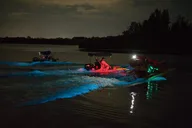 Indian River Lagoon Bioluminescence Craigcat Tour 2 hr thumbnail 2