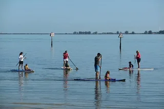 Harbour Island Paddle Board Rental