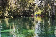 Crystal River Kayak Adventure thumbnail 5