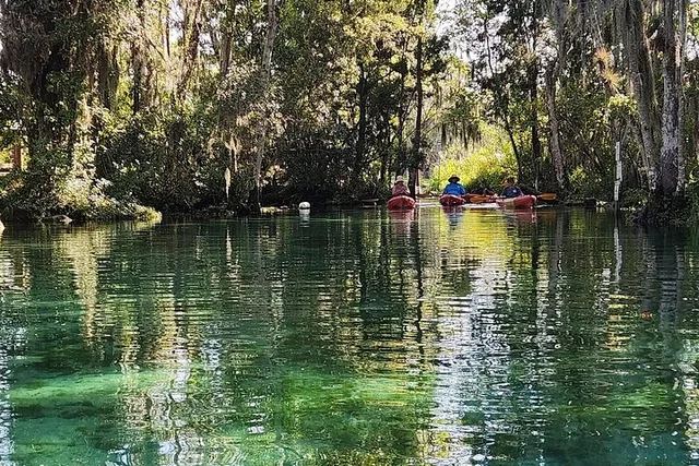 Crystal River Kayak Adventure - Image 5