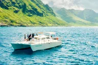 Oahu Dolphin Swim Private Cruise thumbnail 1