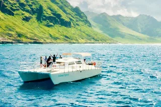 Oahu Dolphin Swim Private Cruise