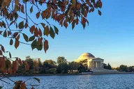 Washington Monuments Tour thumbnail 5
