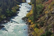 Skagway Yukon Suspension Bridge Adventure 4 hr thumbnail 2