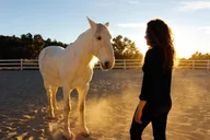 Boulder Leadership & Mindfulness Retreat with Horses thumbnail 3