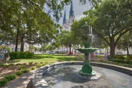 Savannah Kids Walking Movie Tour thumbnail 2