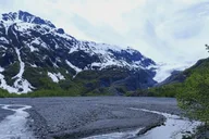 Seward Exit Glacier Nature Hike 2.5 hr thumbnail 3