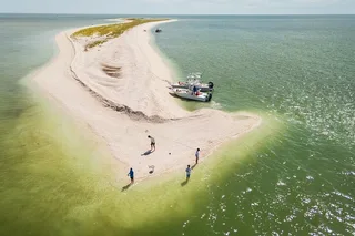 Marco Island Shelling, Fishing, and Eco Tour 4 hr
