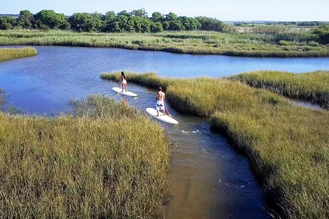 Hilton Head Stand Up Paddling Intro - Image 2