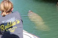 Islamorada Private Boat Tour with Snorkeling thumbnail 3