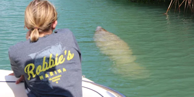 Islamorada Private Boat Tour with Snorkeling - Image 3
