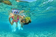 South Padre Island Snorkel Tour Small Group 90 Min thumbnail 2