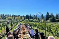 Portland Mt Hood Waterfall Tour with Wine and Lunch thumbnail 1