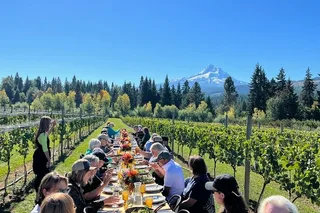 Portland Mt Hood Waterfall Tour with Wine and Lunch