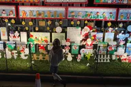 Richmond Holiday Lights Tour thumbnail 4