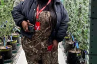 Denver Private Luxury Cannabis Tour thumbnail 5