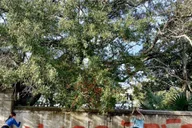 Charleston Outer Banks Film Locations Tour thumbnail 4