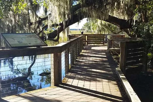 Hilton Head Segway Eco Ride 90 min - Image 5