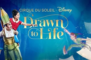 Orlando Cirque du Soleil Show