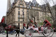 New York Horse Carriage Ride with Tavern on the Green thumbnail 2