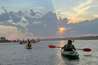 Hilton Head Kayak Dolphin Nature Tour thumbnail 4