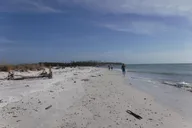 10,000 Islands Shelling Boat Tour thumbnail 4